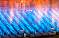 Rigside gas fired boilers